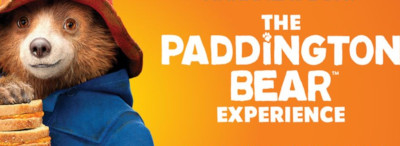 paddington bear experience