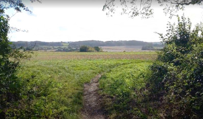 jane austen countryside farringdon hampshire uk