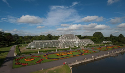 Kew Gardens & Palace