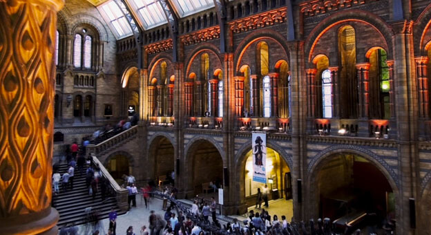 Natural History Museum - South Kensington, London