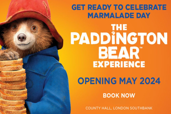 paddington bear experience