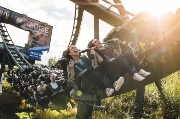 thorpe park swarm