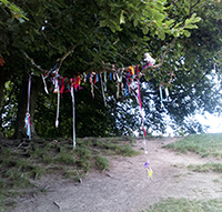 The Wishing Tree at Avebury