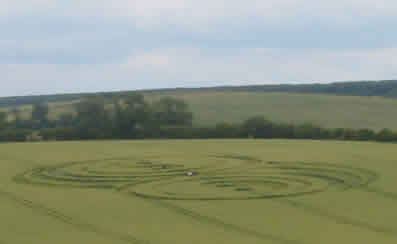 Crop Circle pictured near Avebury