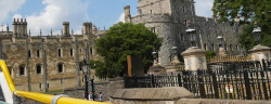 windsor tootbus