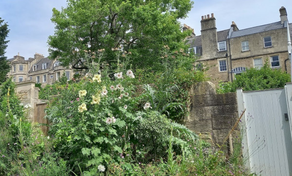 Bath regency houses