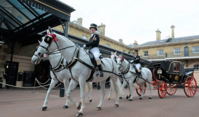 Royal Mews