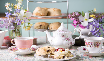 chawton house old kitchen tea rooms