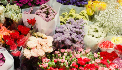 Columbia Flower Market, London