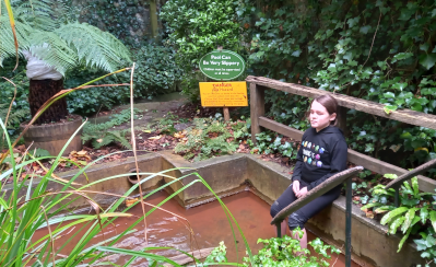 Arthur's Court Healing pool. Chalice Well Glastonbury