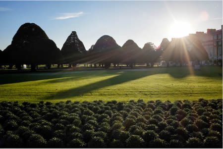 Hampton Court Maze