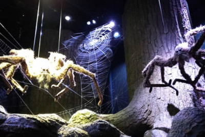 Aragog Forbidden Forest - Warner Bros. Studio Tour London