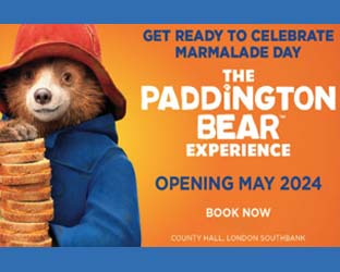 paddington bear experience