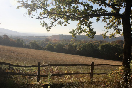 Kent countryside