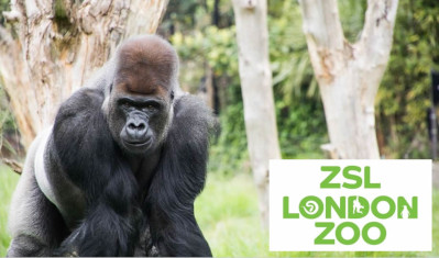 London Zoo included in railways 2 4 1 scheme