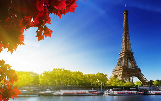 Seine River Cruise and Eiffel Tower, Paris