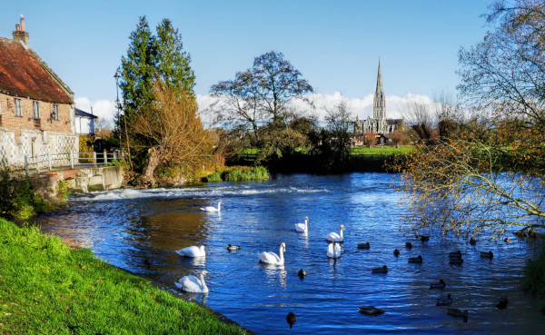 Salisbury Harnham Meadows