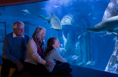 SEA LIFE Aquarium with 2FOR1 Railways promotion