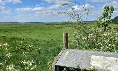 Stonehenge landscape, Cursus