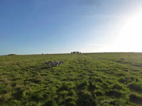 Stonehenge Avenue