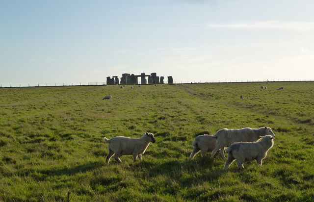 Stonehenge Avenue and landscape