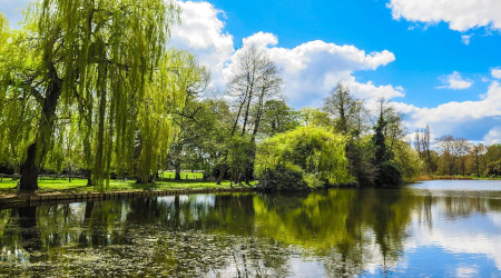 runnymede near windsor by the thames