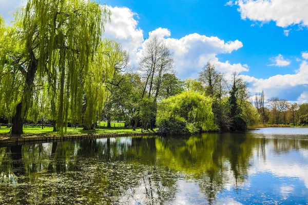 Runnymede near Windsor