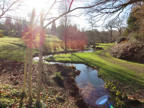 Windsor Great Park Savill Garden