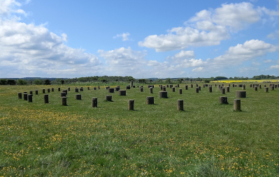 Visit Woodhenge on Stonehenge Special Access