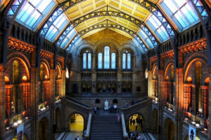 Natural History Museum, London