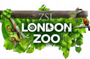 London Zoo for families in London