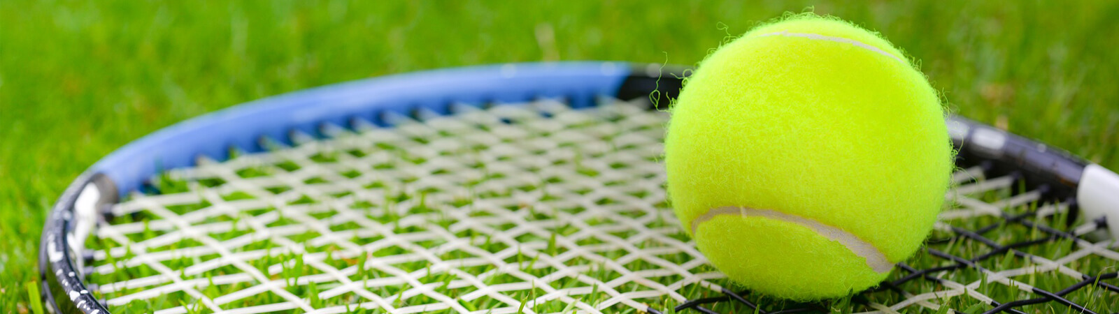 Our Useful Guide To The Wimbledon Championships