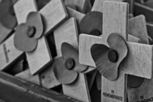 black and white poppies in remembrance