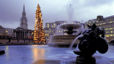 london christmas tree