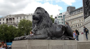 Trafalgar Square lion, London