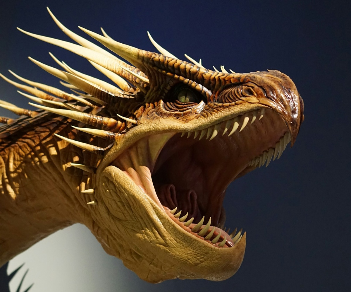Dragon's head