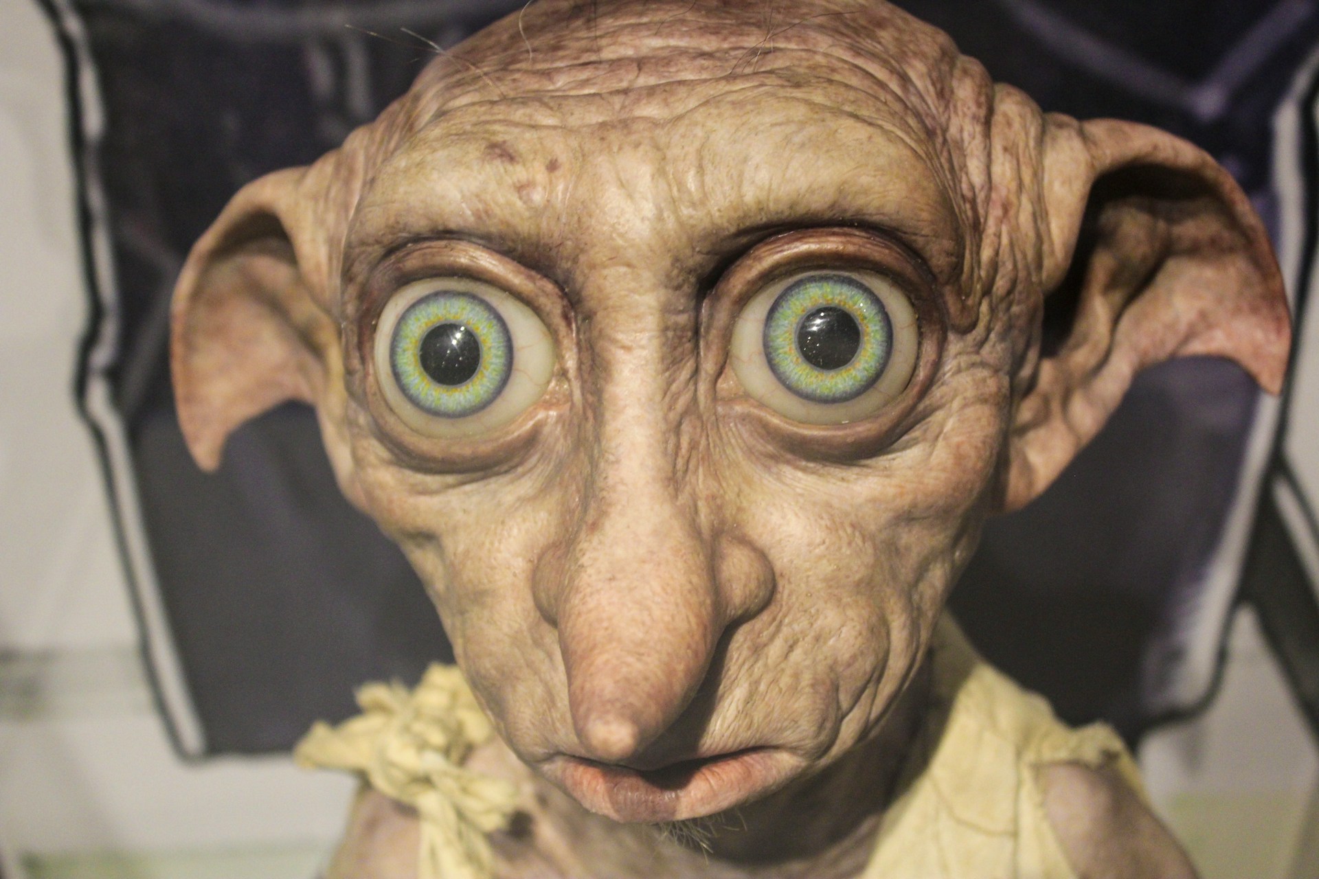 Dobby from the Harry Potter Studio Tour