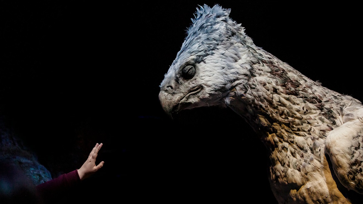 Harry Potter eagle horse