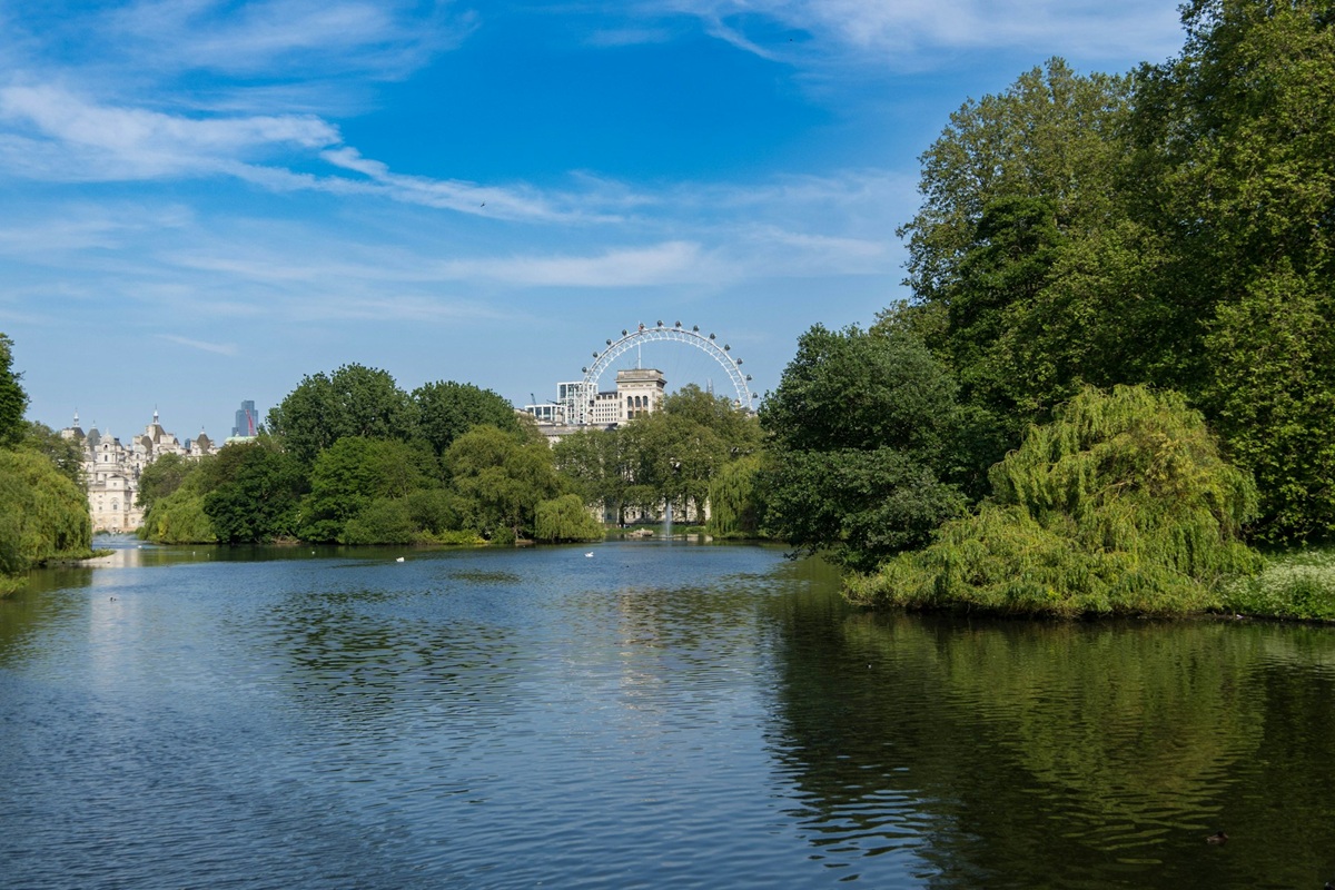 Park with river and London Eye in background