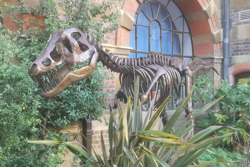 Dinosaur located outside the Sedgwick Museum