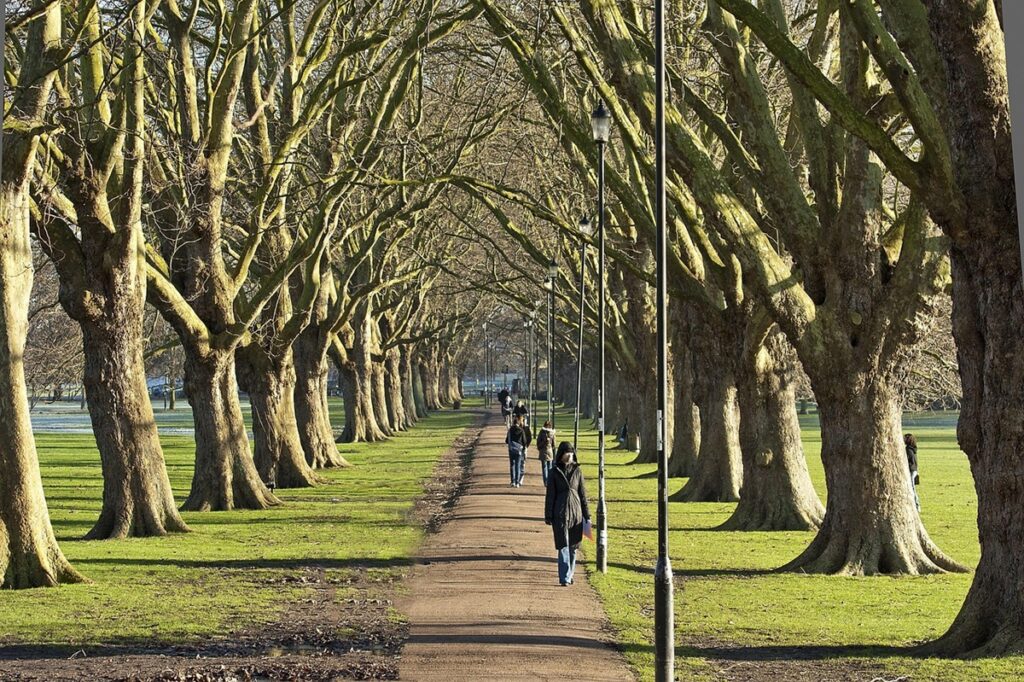 Green spaces in Cambridge